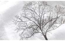 Load image into Gallery viewer, Luxury Linen Embroidered Tree T-Shirt
